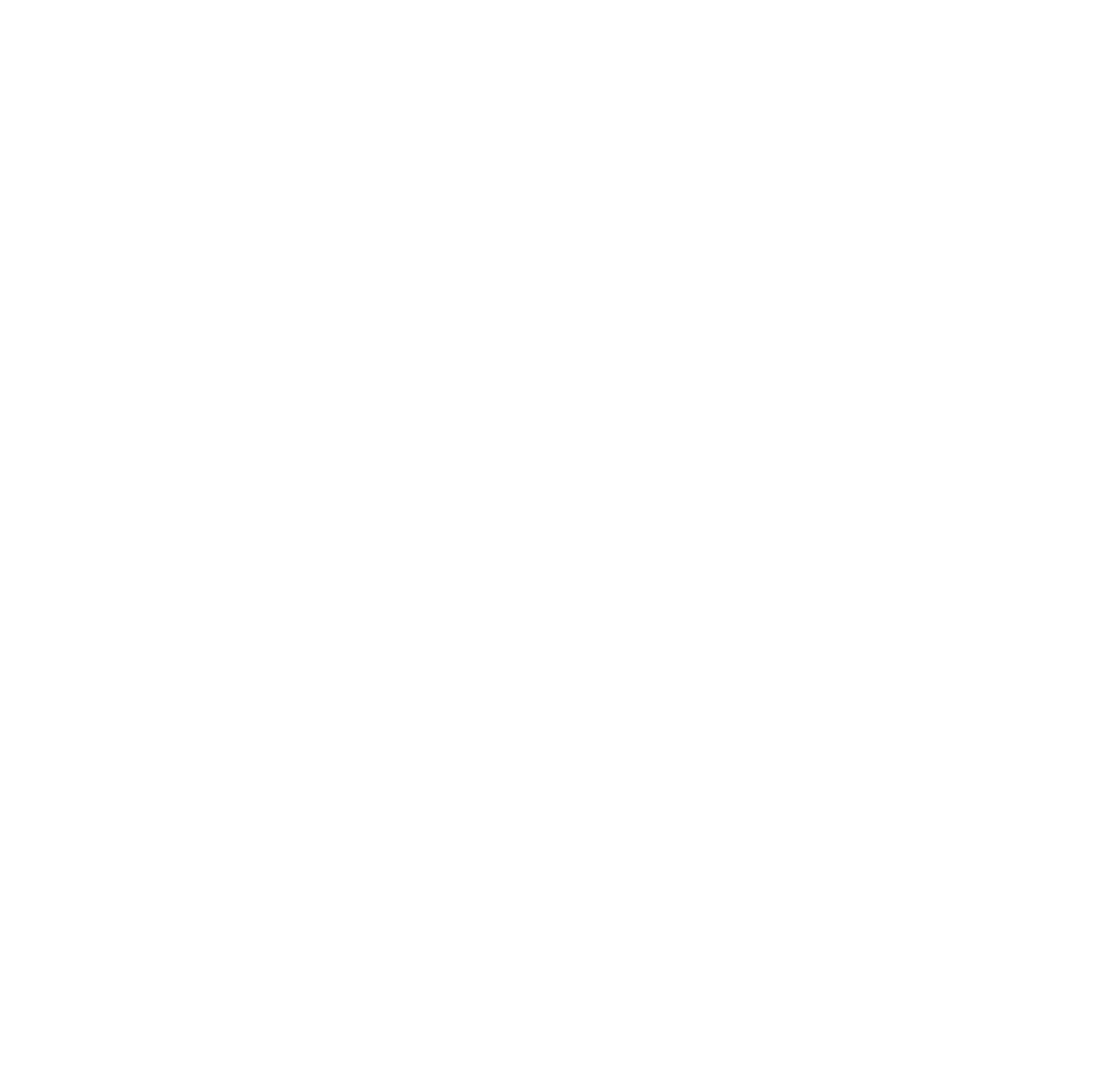 CSLDI